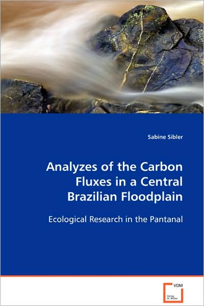 Analyzes of the Carbon Fluxes in a Central Brazilian Floodplain