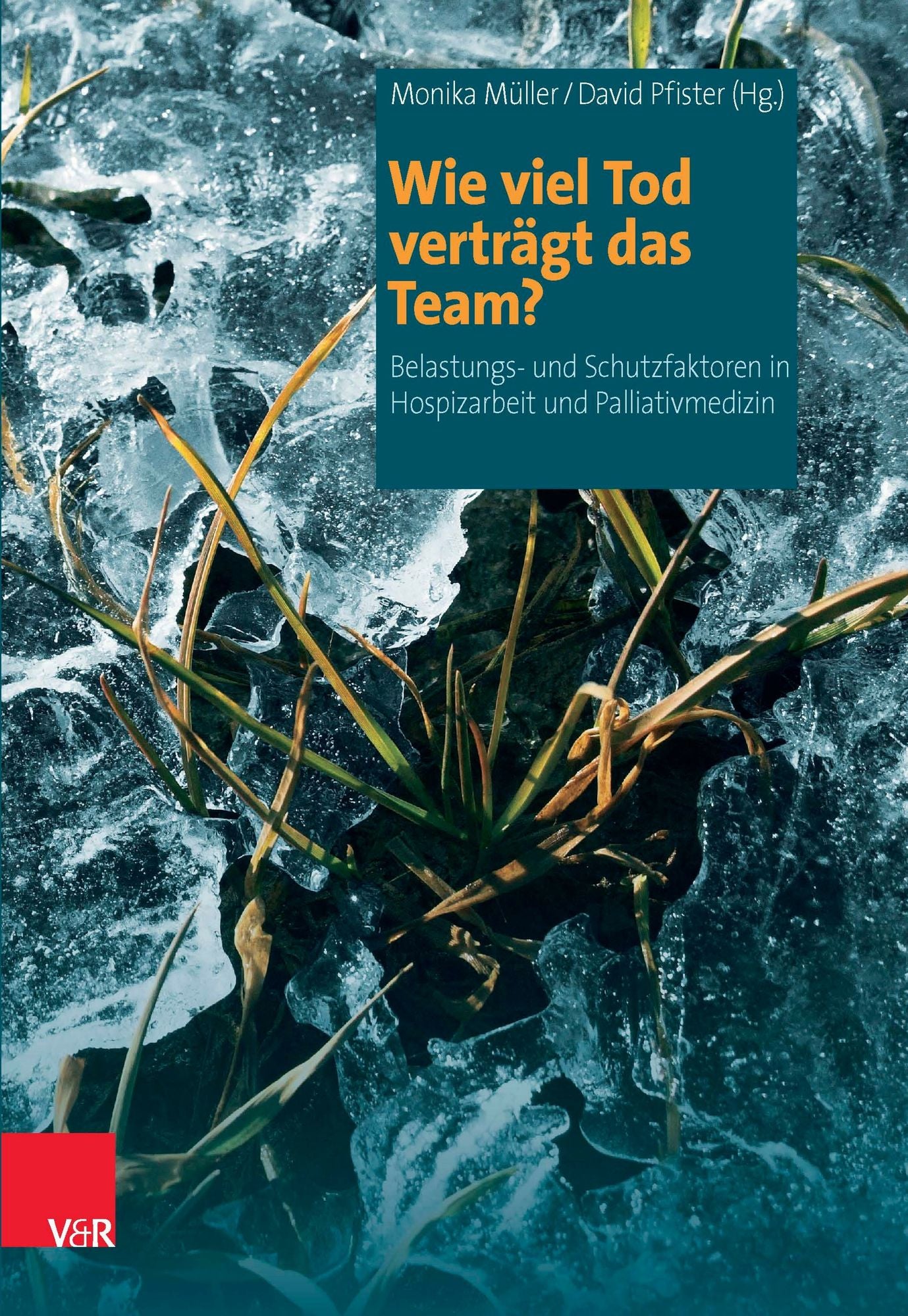 Wie viel Tod verträgt das Team?: Belastungs- und Schutzfaktoren in Hospizarbeit und Palliativmedizin