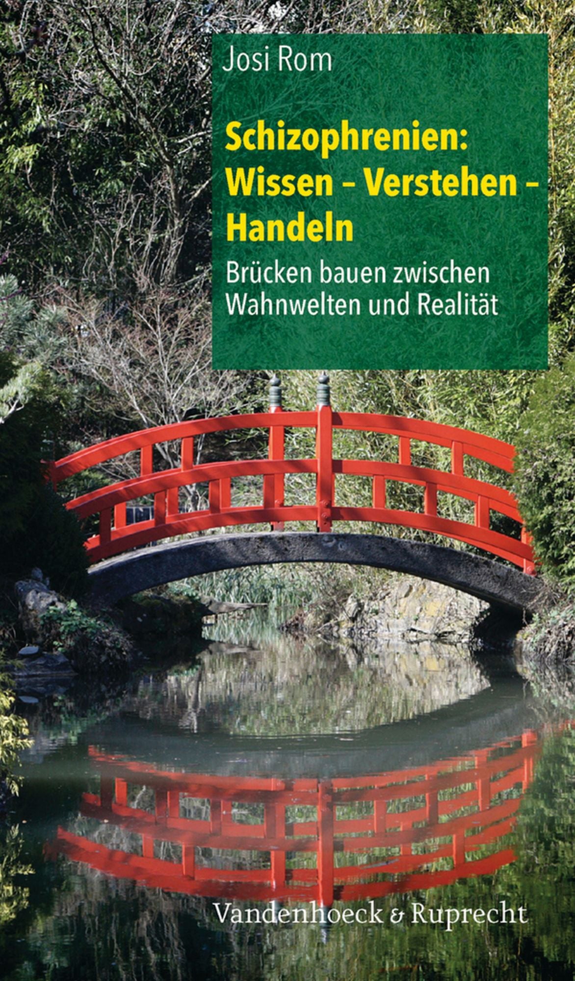 Schizophrenien: Wissen - Verstehen - Handeln: Brücken bauen zwischen Wahnwelten und Realität