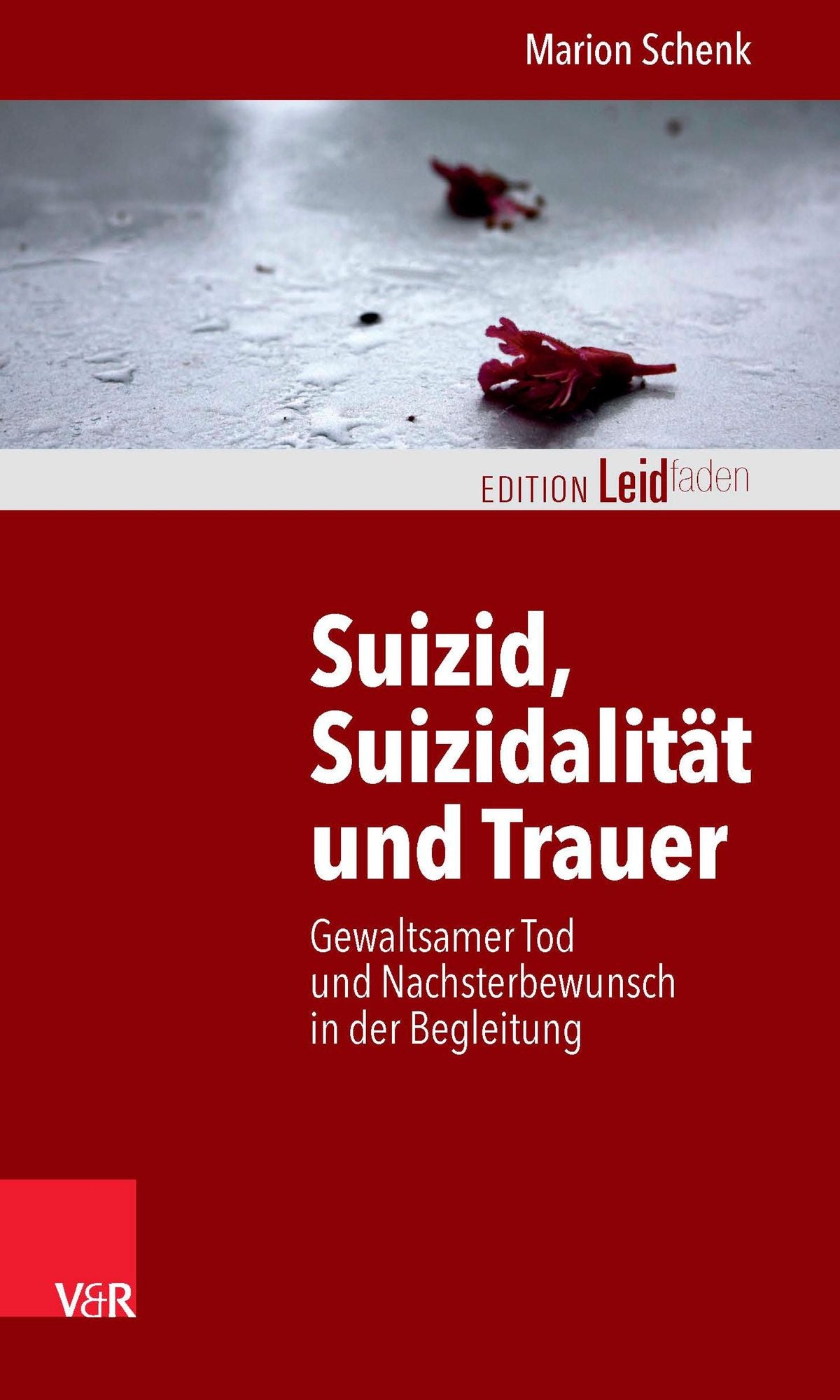 Suizid, Suizidalität und Trauer: Gewaltsamer Tod und Nachsterbewunsch in der Begleitung