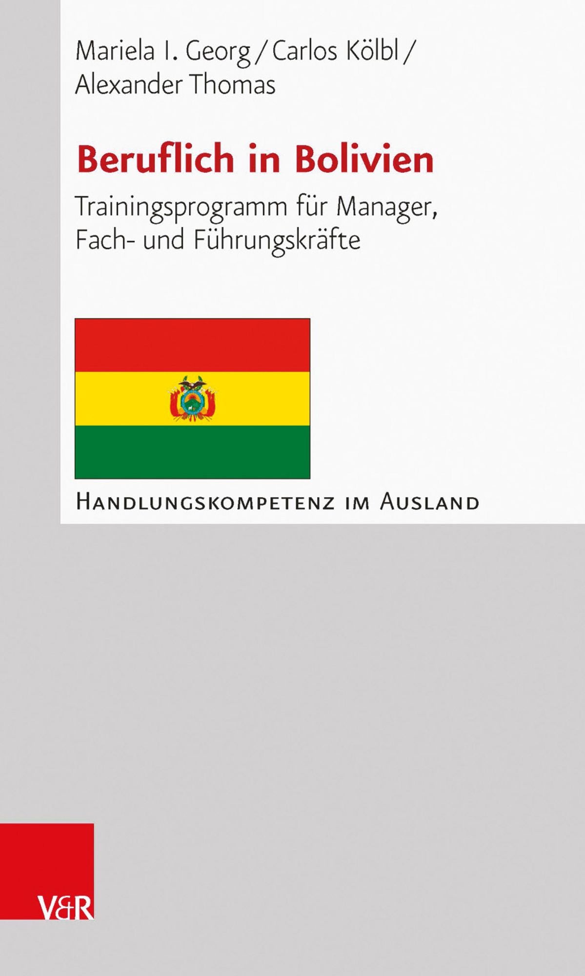 Beruflich in Bolivien: Trainingsprogramm für Manager, Fach- und Führungskräfte