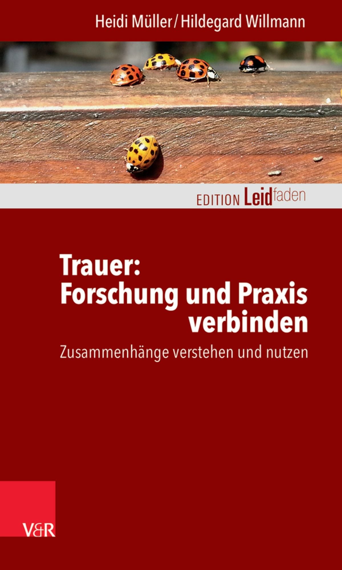 Trauer: Forschung und Praxis verbinden: Zusammenhänge verstehen und nutzen
