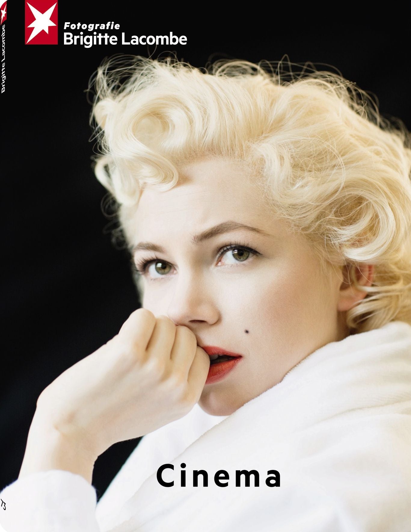 Stern Portfolio No. 73 Brigitte Lacombe