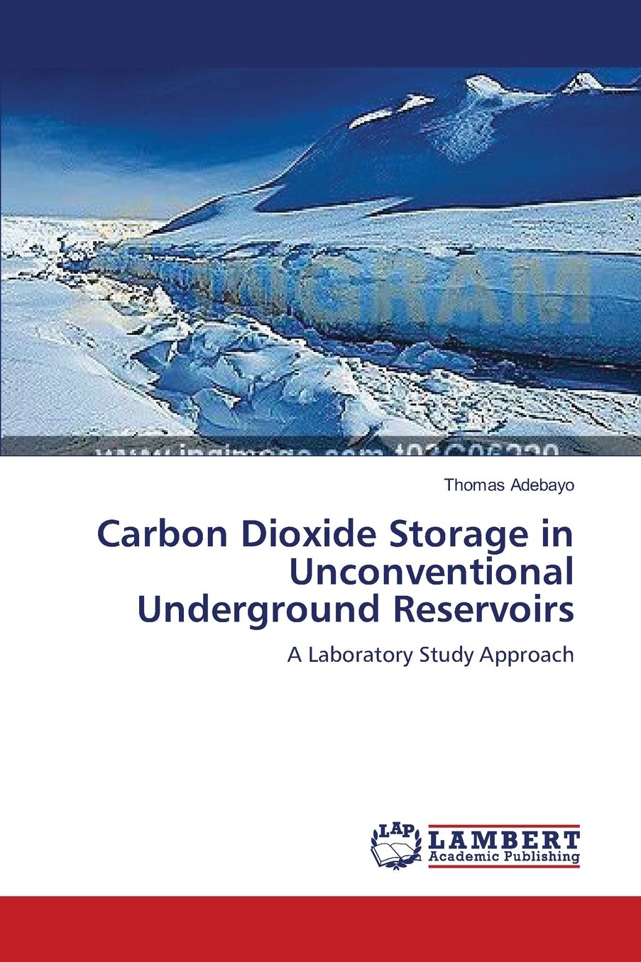 Carbon Dioxide Storage in Unconventional Underground Reservoirs