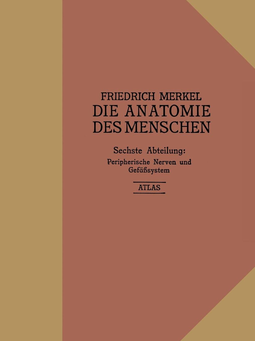 Atlas zu Peripherische Nerven und Gefässsystem