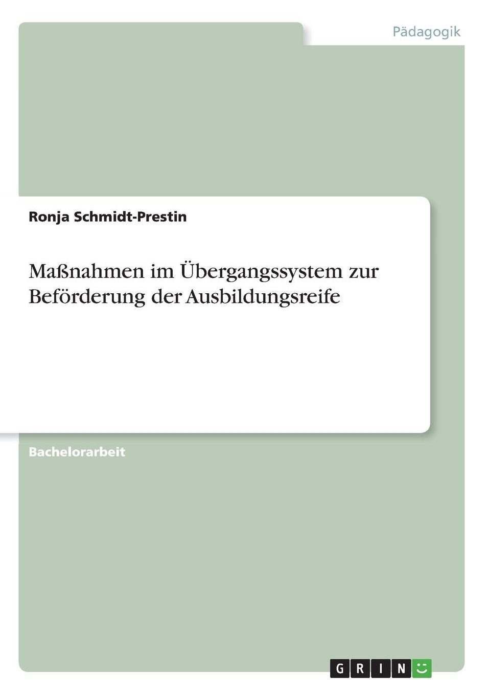 Maï¿½nahmen im ï¿½bergangssystem zur Befï¿½rderung der Ausbildungsreife