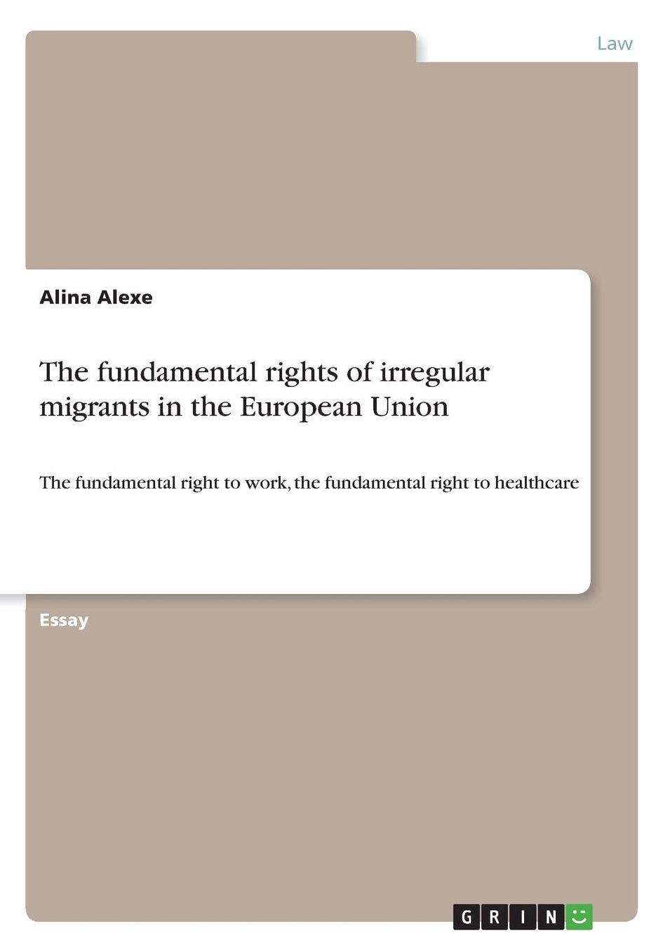 The fundamental rights of irregular migrants in the European Union: The fundamental right to work, the fundamental right to healthcare