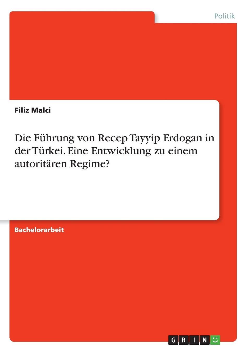 Die Fï¿½hrung von Recep Tayyip Erdogan in der Tï¿½rkei. Eine Entwicklung zu einem autoritï¿½ren Regime?