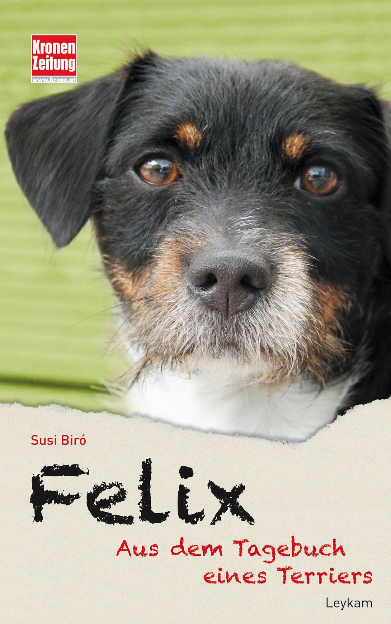Felix: Aus dem Tagebuch eines Terriers