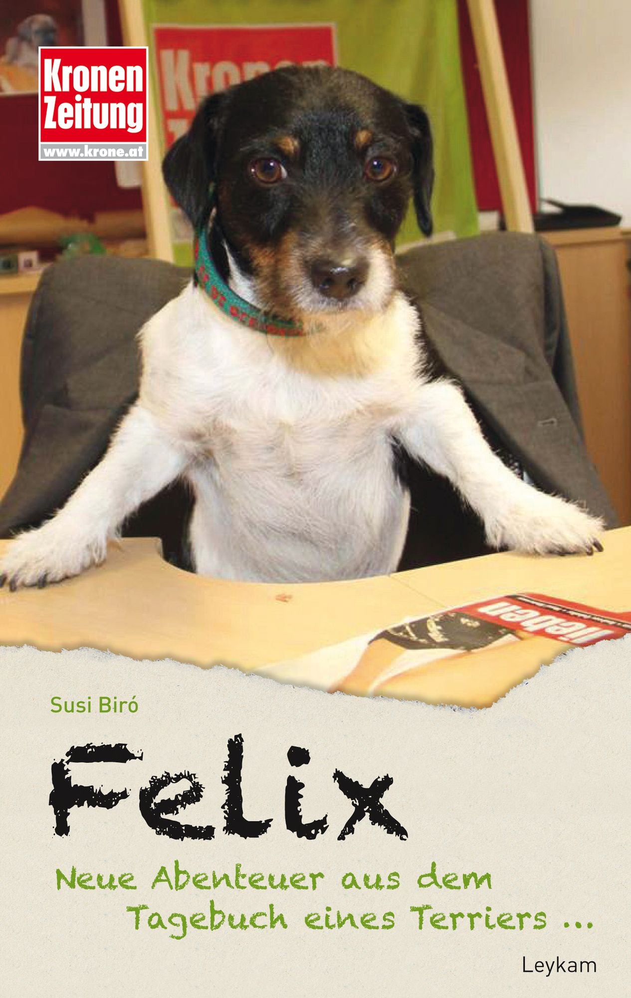 Felix: Aus dem Tagebuch eines Terriers