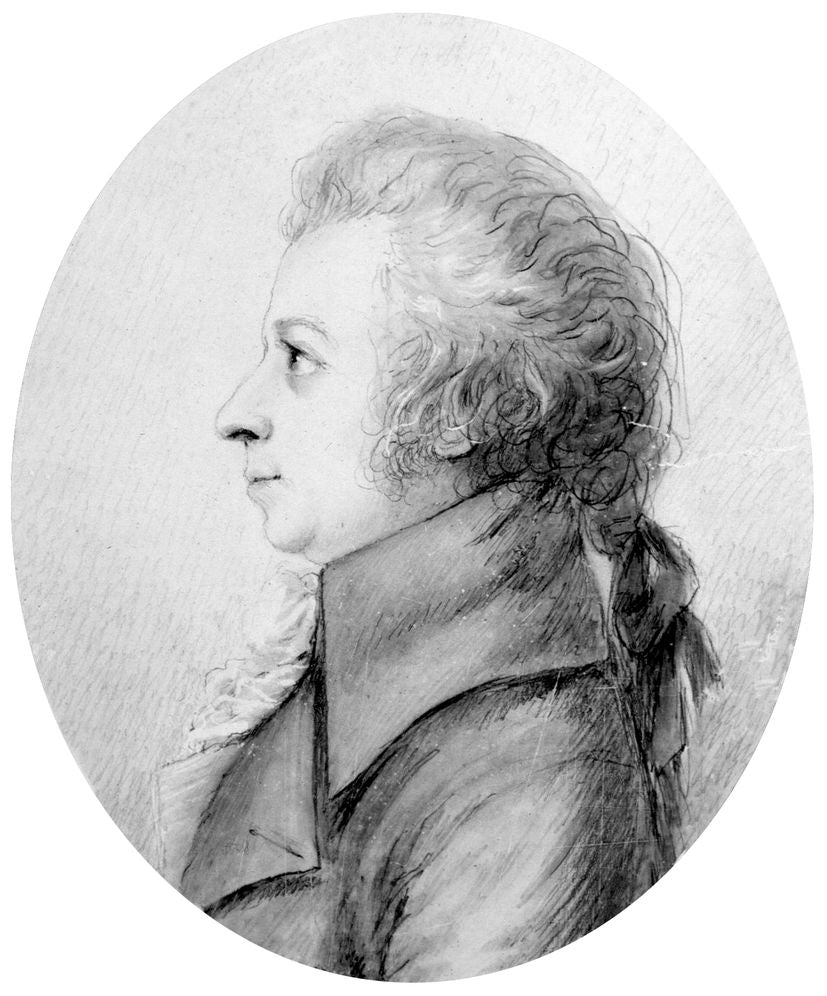Next to Mozart: Answers to the 111 Most Common Questions
