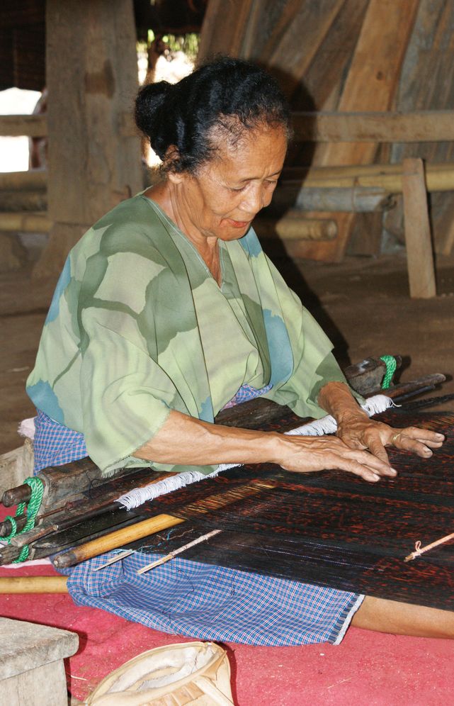 The Aichhorn Collection: Ikat