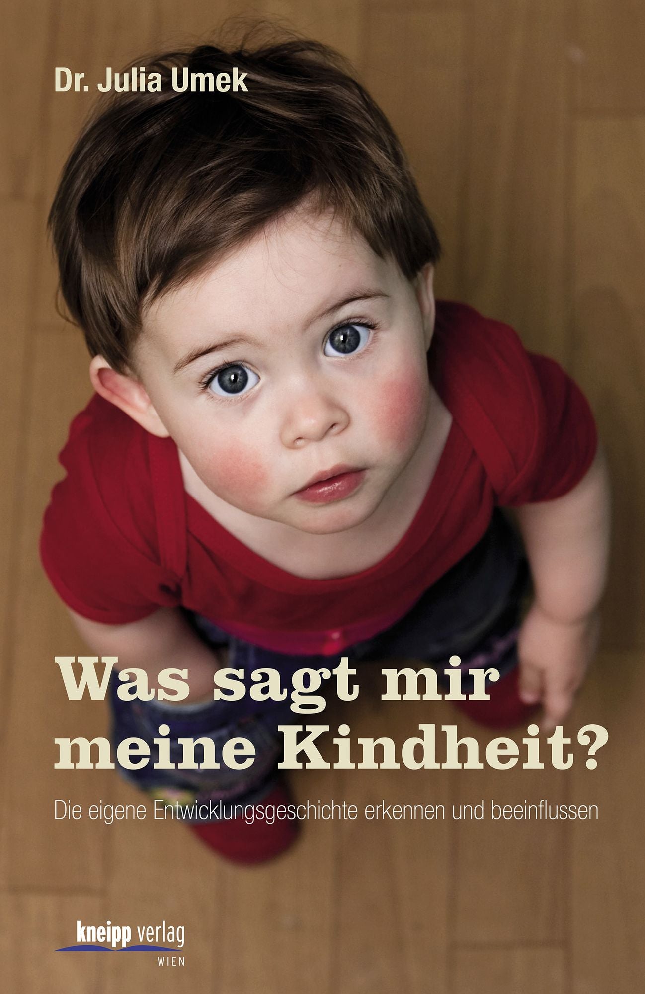 Was sagt mir meine Kindheit: Die eigenen Entwicklungsgeschichte erkennen und beeinflussen