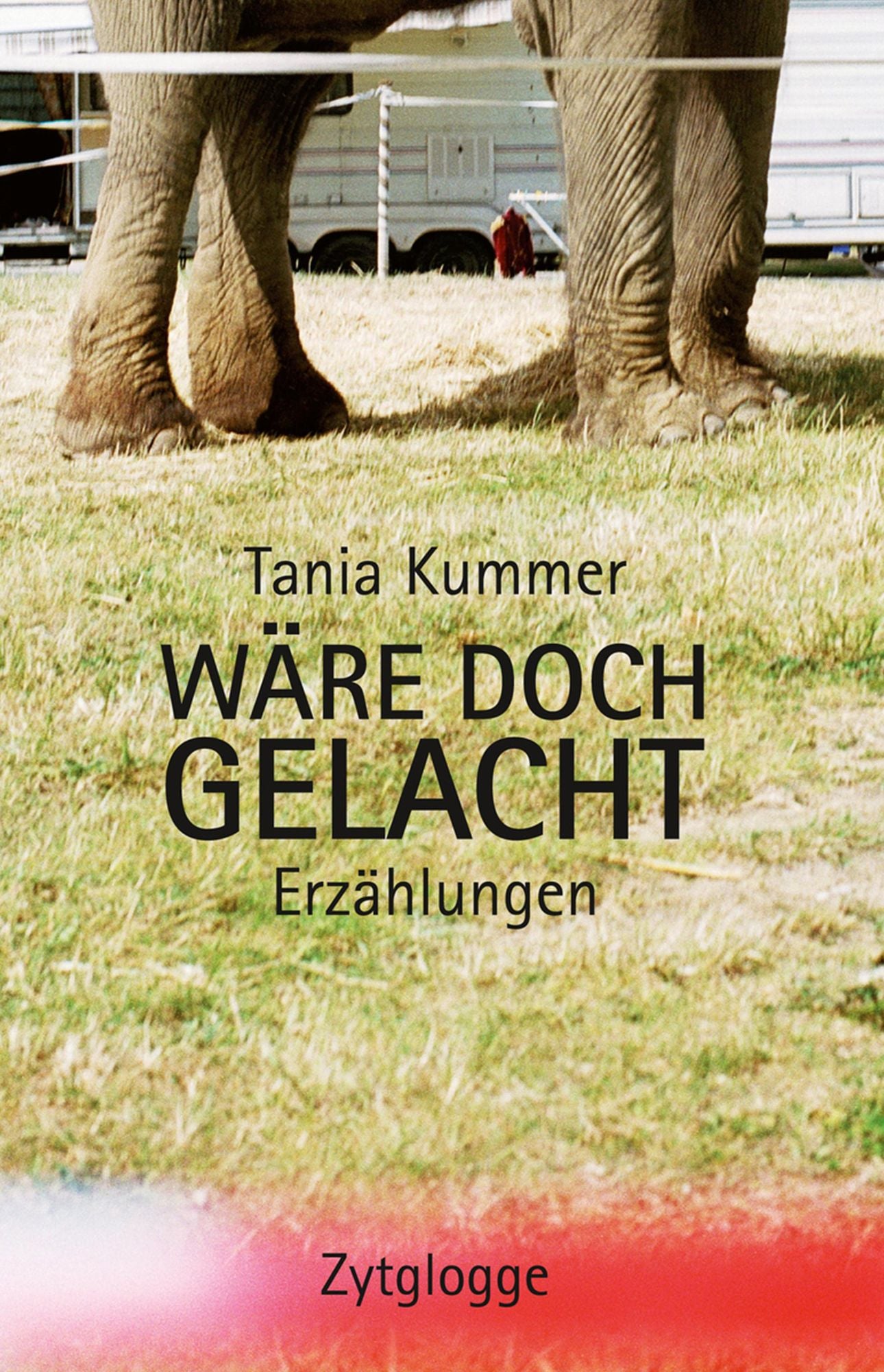 Wäre doch gelacht: Erzählungen