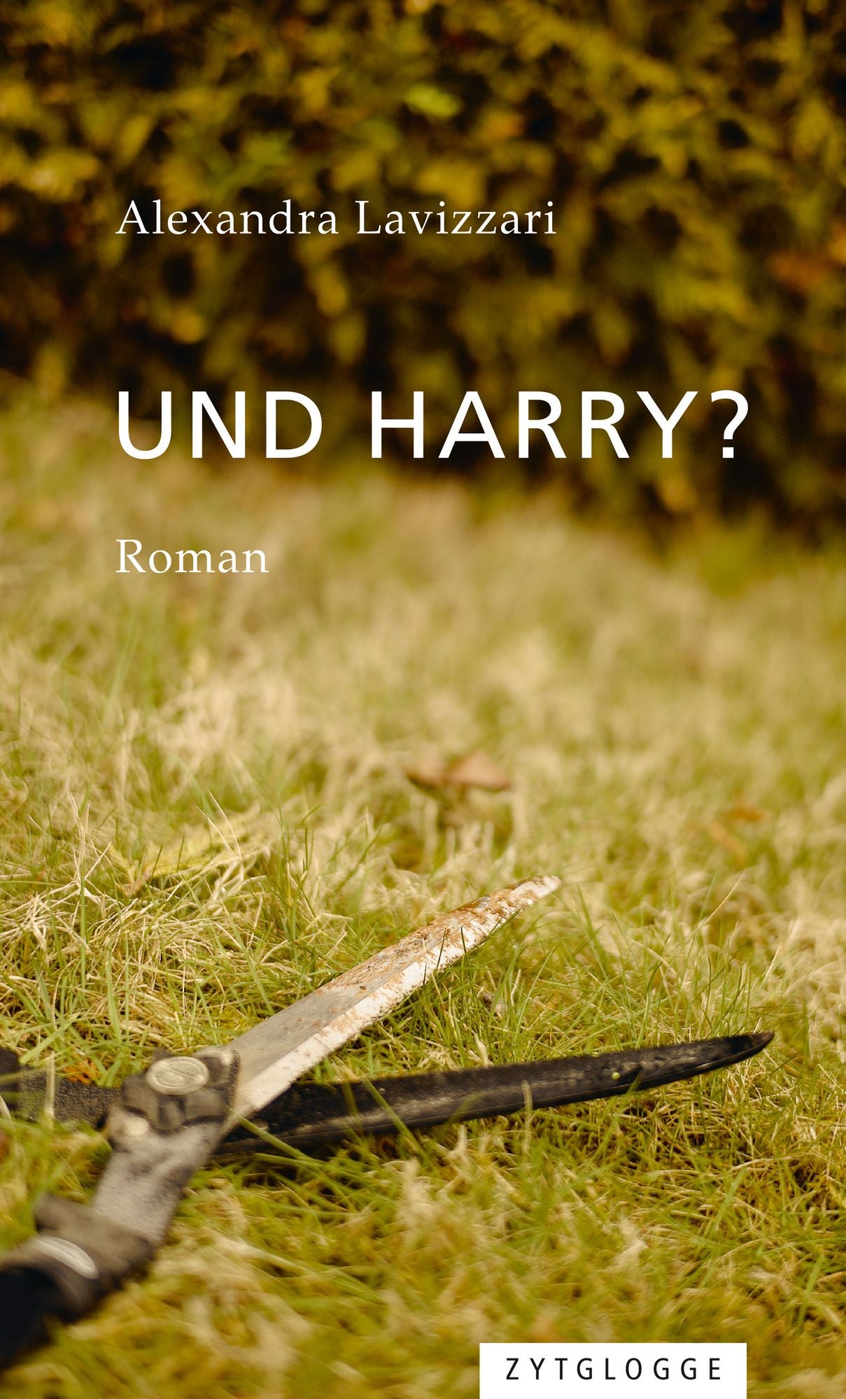 Und Harry?: Roman