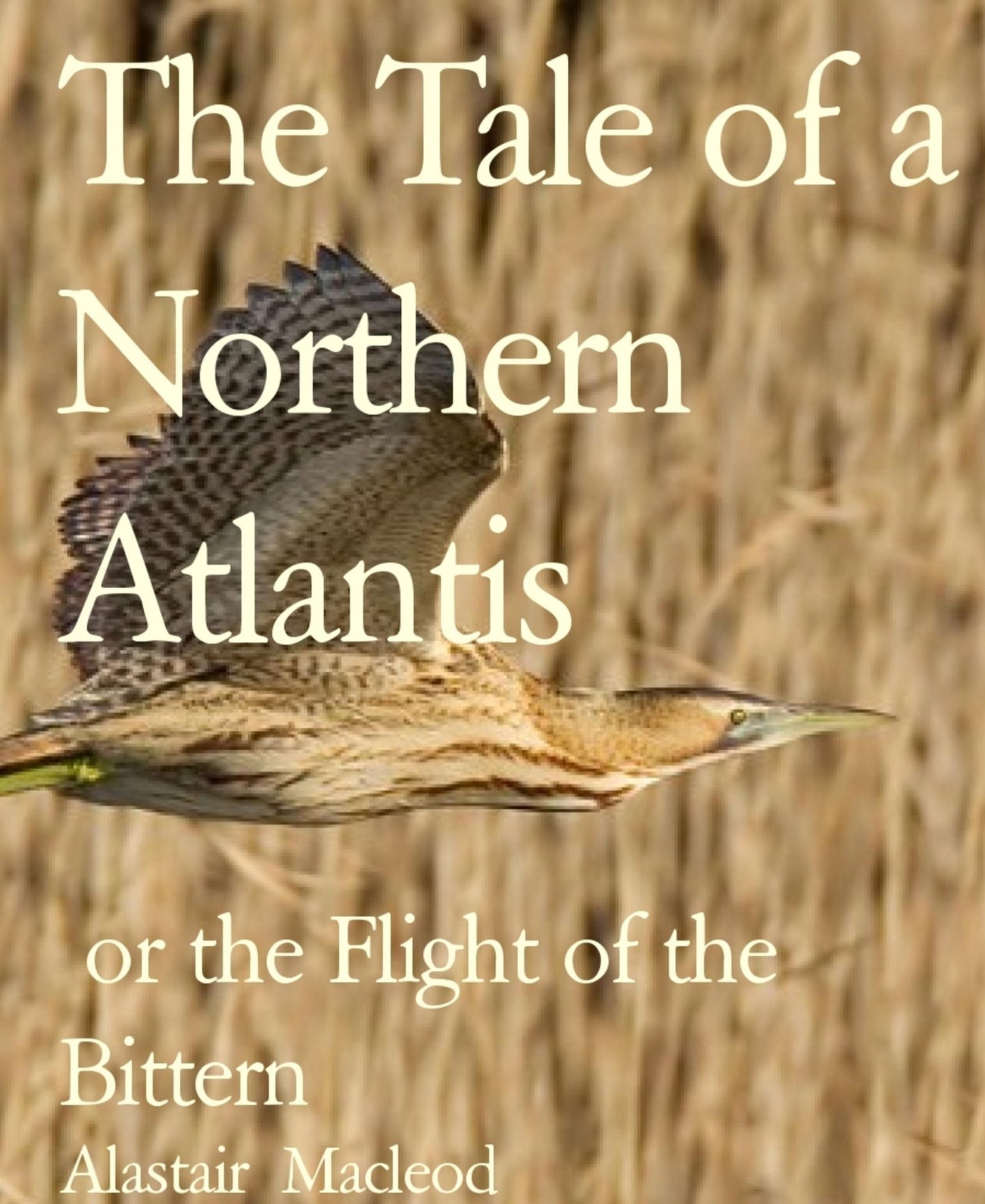 The Tale of a Northern Atlantis: or the Flight of the Bittern