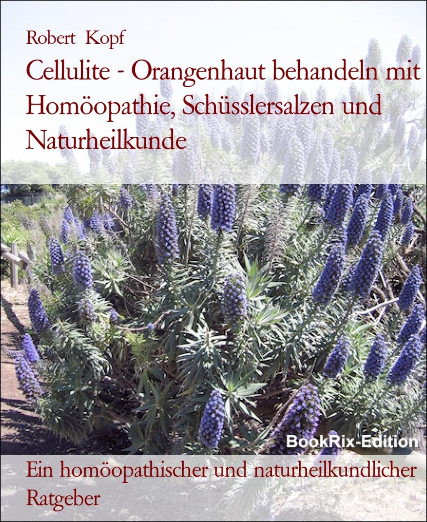 Cellulite - Orangenhaut behandeln und vorbeugen mit Homöopathie, Schüsslersalzen (Biochemie) und Naturheilkunde: Ein homöopathischer, biochemischer und naturheilkundlicher Ratgeber