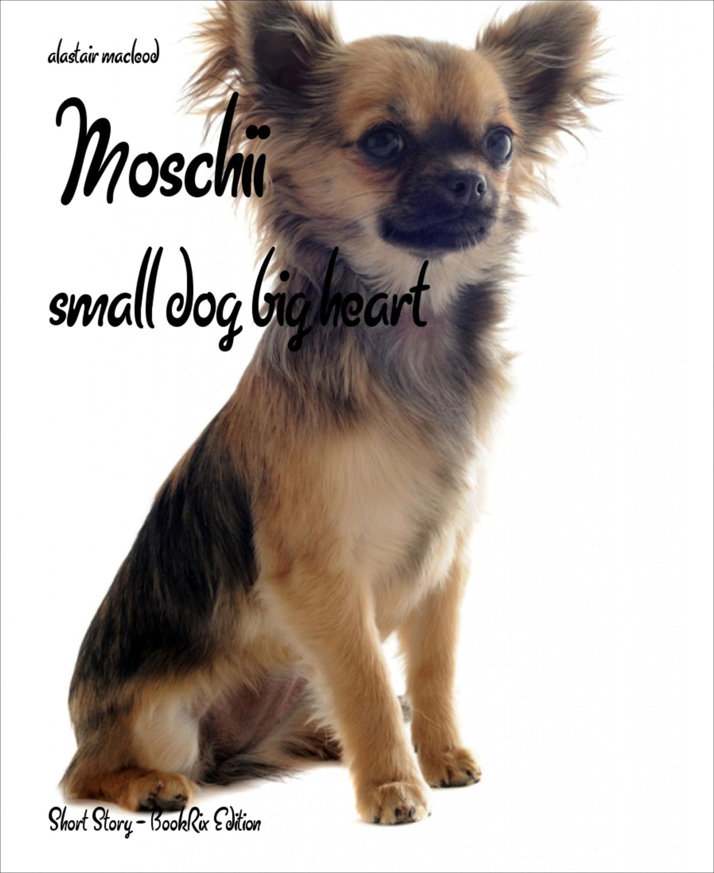 Moschii: small dog big heart