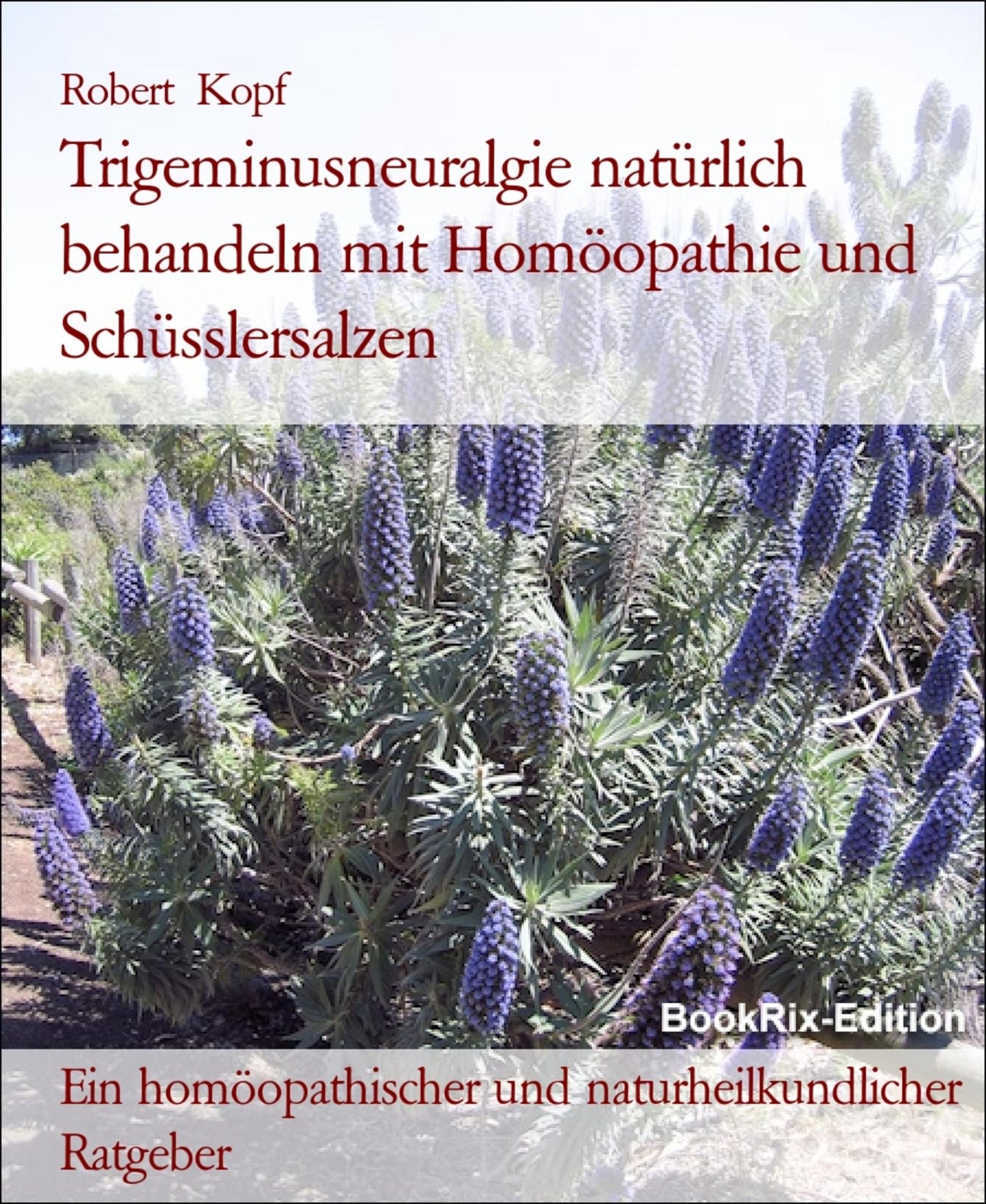 Trigeminusneuralgie Gesichtsnervenschmerzen - Behandlung mit Homöopathie, Schüsslersalzen (Biochemie), Naturheilkunde: Ein homöopathischer, biochemischer und naturheilkundlicher Ratgeber