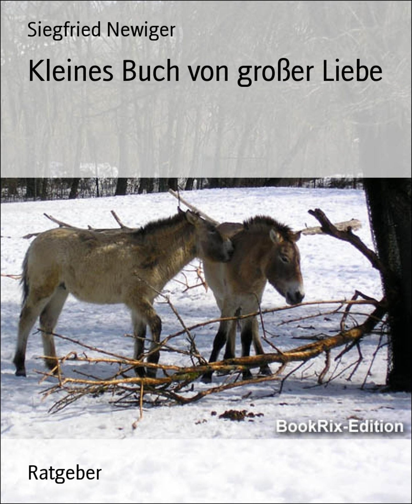 Kleines Buch von großer Liebe