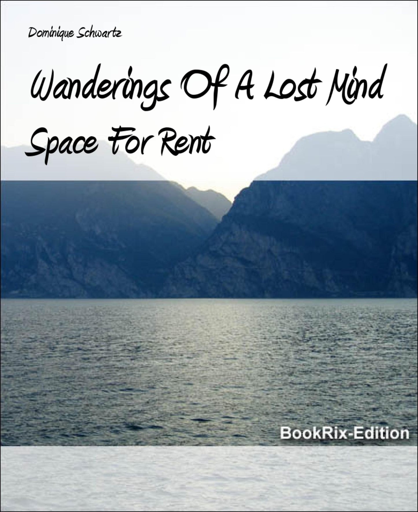Wanderings Of A Lost Mind: Space For Rent