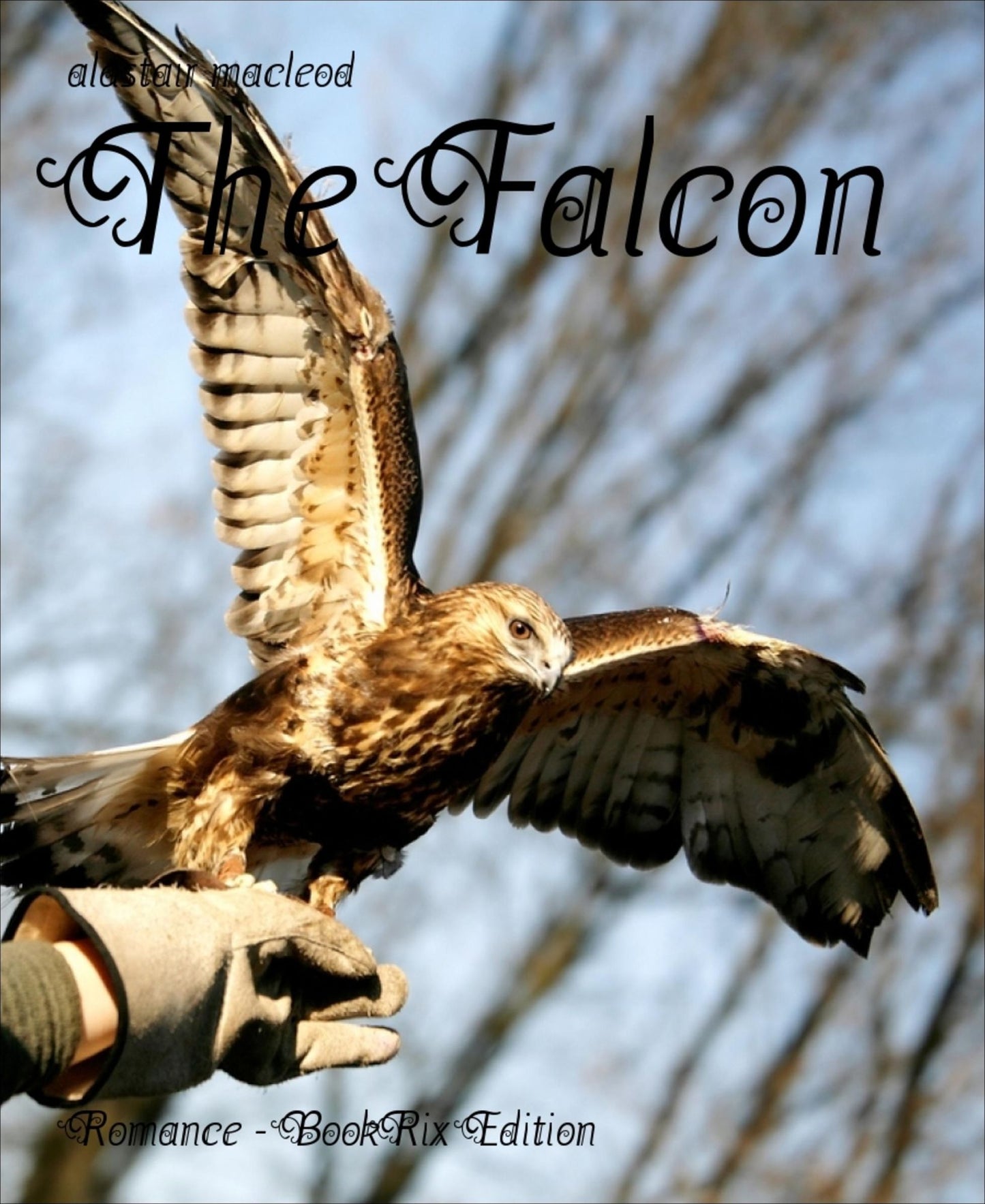 The Falcon