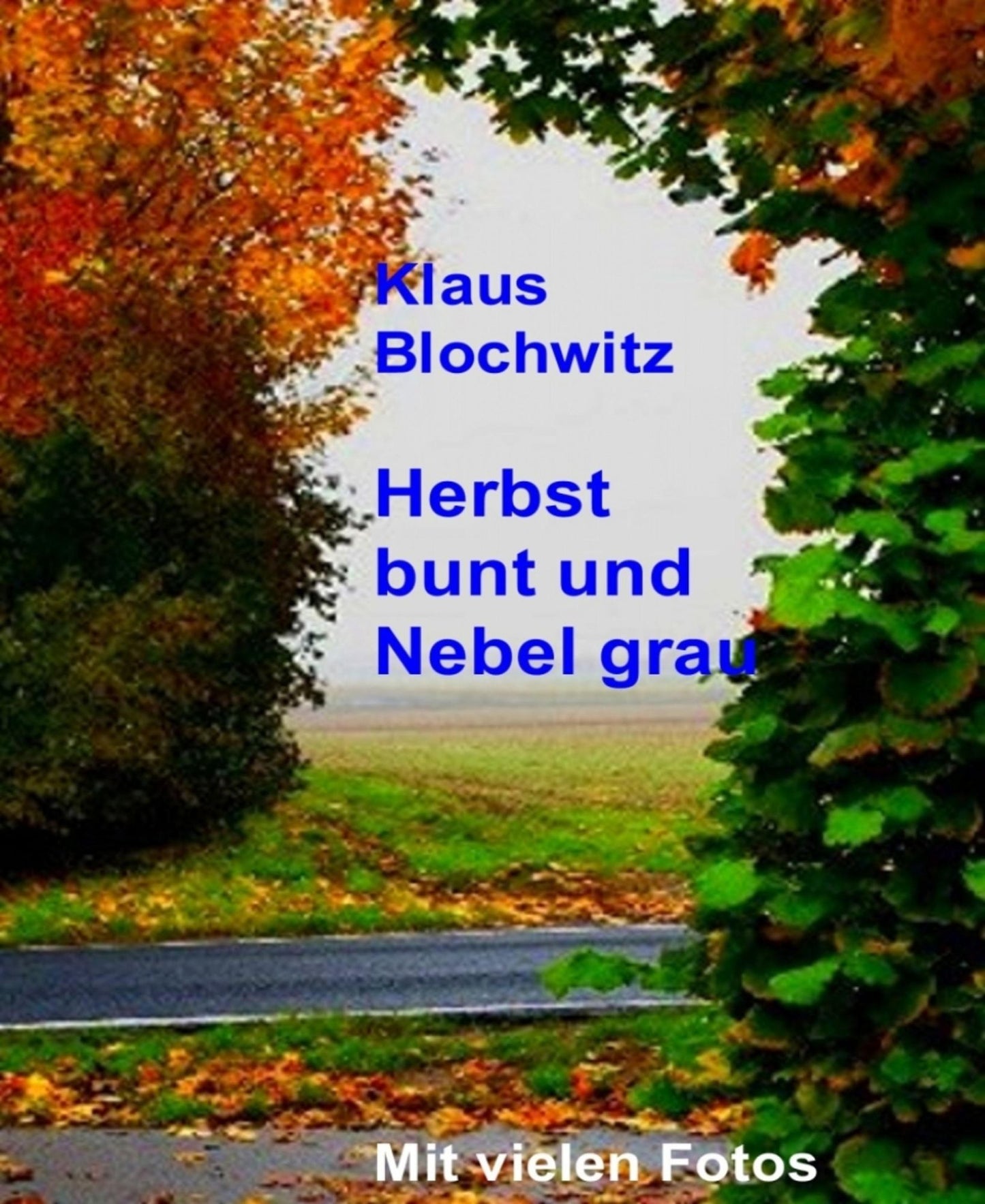 Herbst bunt und Nebel grau