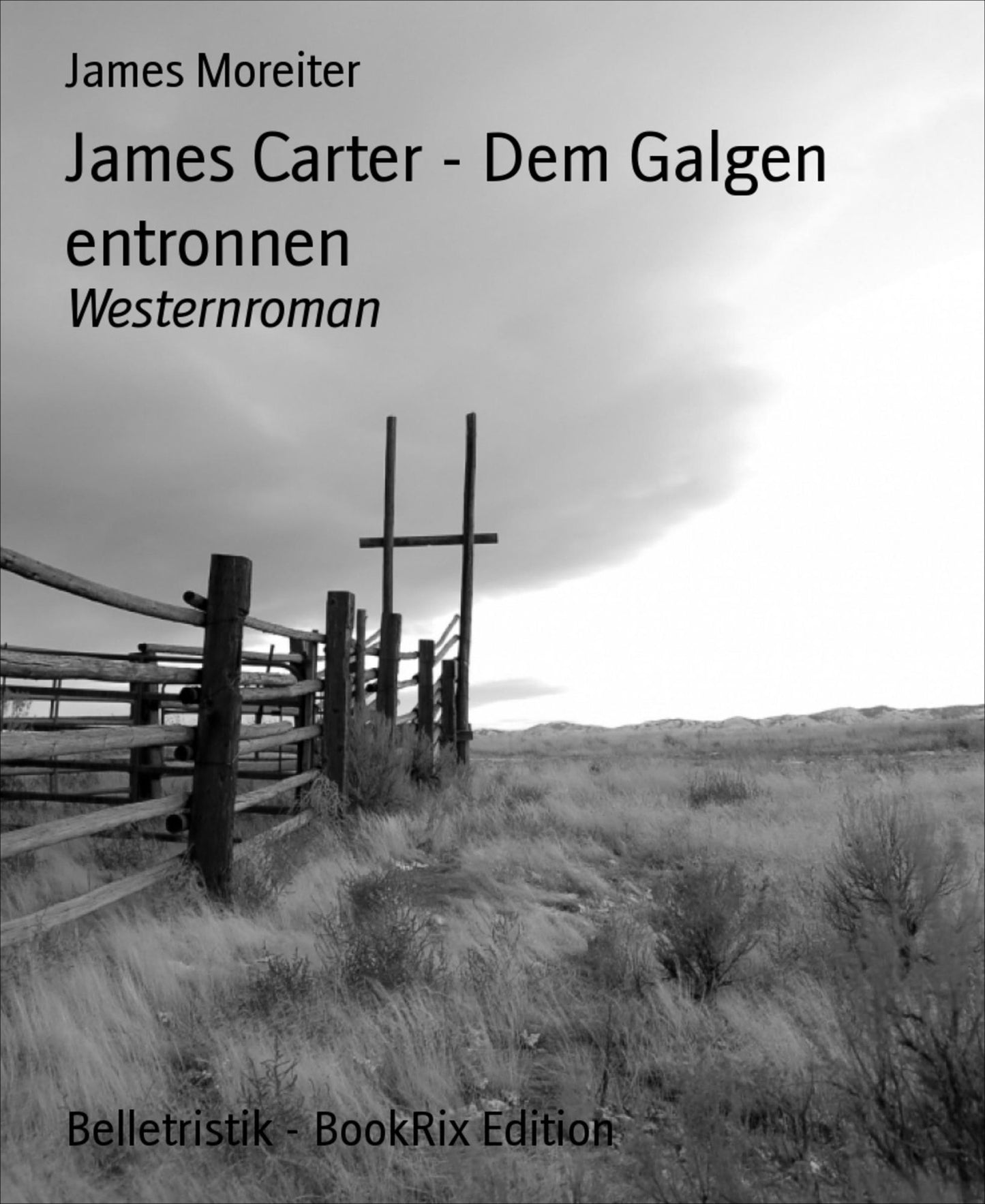 James Carter - Dem Galgen entronnen: Westernroman