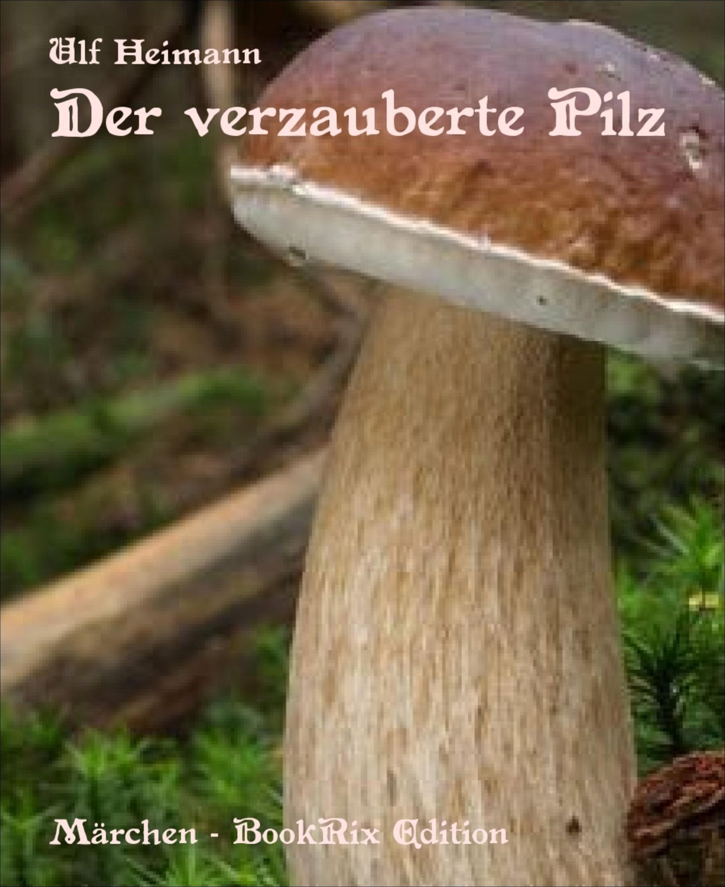 Der verzauberte Pilz