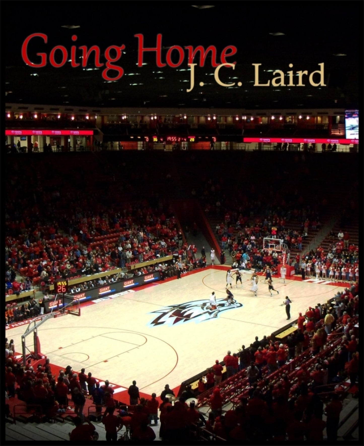Going Home: Short Story