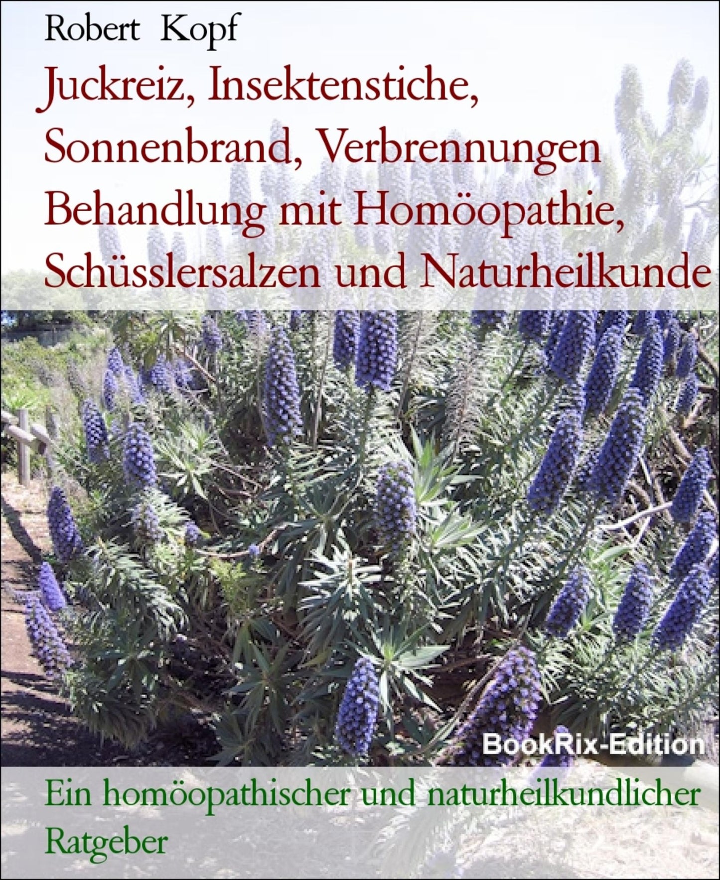 Juckreiz, Insektenstiche, Sonnenbrand, Verbrennungen Behandlung mit Homöopathie, Schüsslersalzen und Naturheilkunde: Ein homöopathischer, biochemischer und naturheilkundlicher Ratgeber