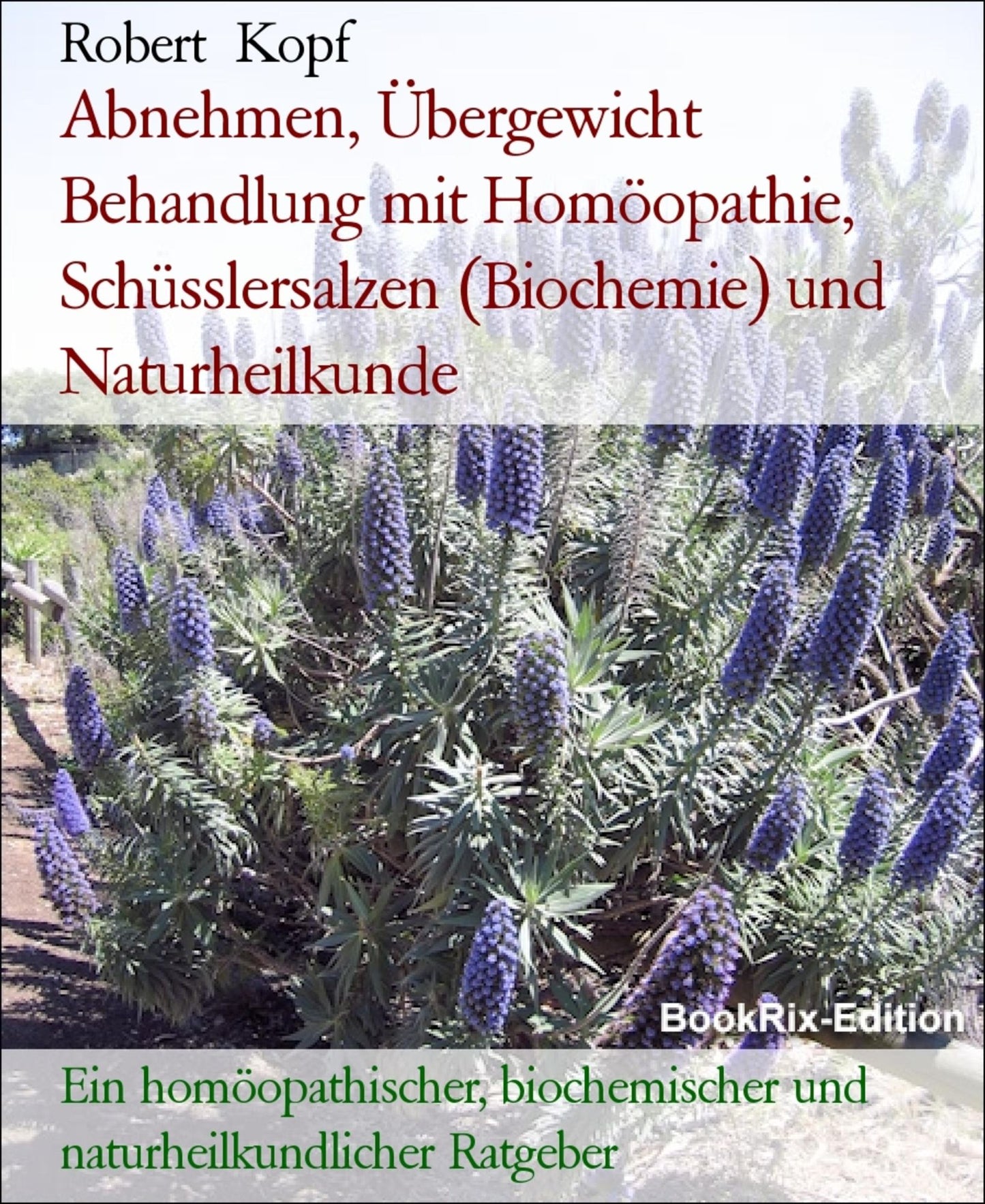 Abnehmen, Übergewicht Behandlung mit Homöopathie, Schüsslersalzen (Biochemie) und Naturheilkunde: Ein homöopathischer, biochemischer und naturheilkundlicher Ratgeber