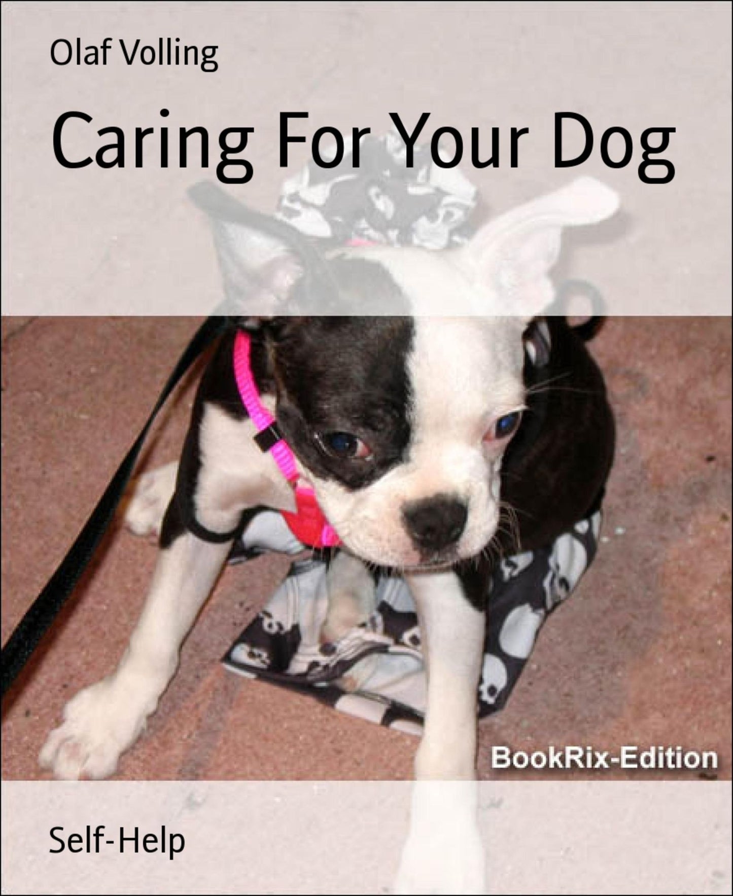 Caring For Your Dog
