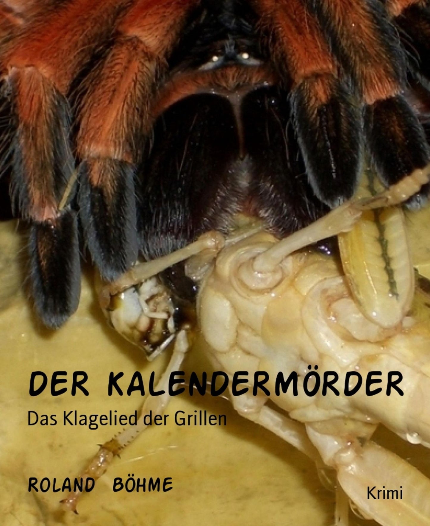 DER KALENDERMÖRDER: Das Klagelied der Grillen