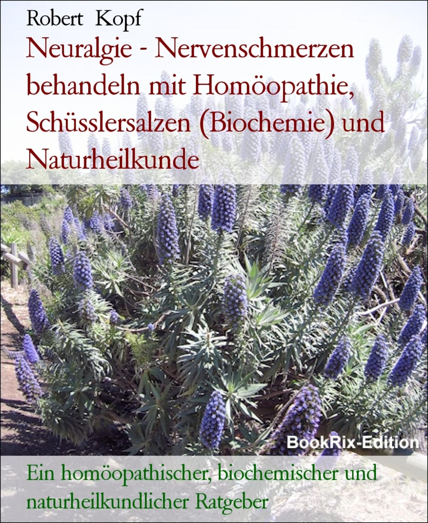 Neuralgie - Nervenschmerzen behandeln mit Homöopathie, Schüsslersalzen (Biochemie) und Naturheilkunde: Ein homöopathischer, biochemischer und naturheilkundlicher Ratgeber