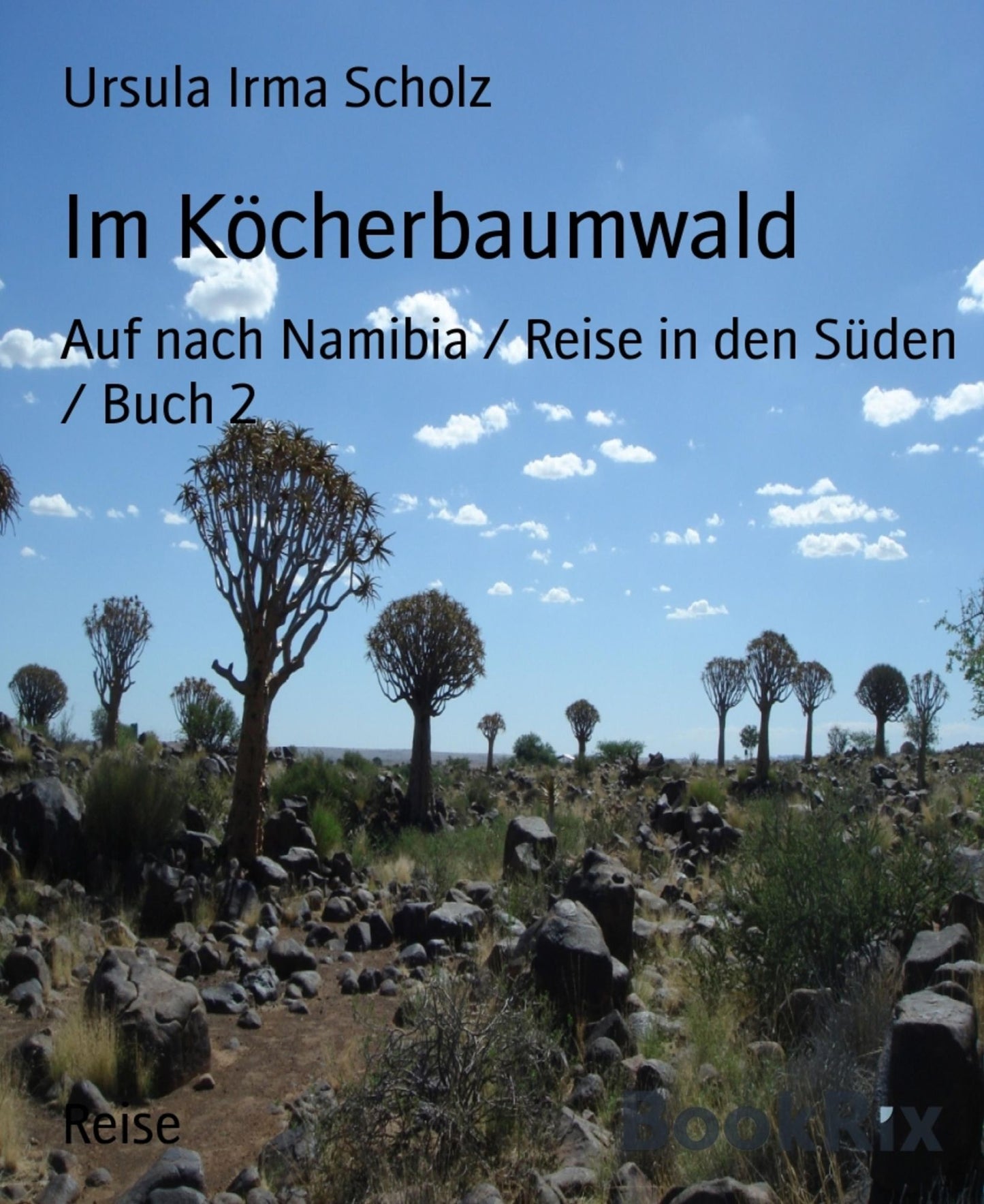 Im Köcherbaumwald: Auf nach Namibia / Reise in den Süden / Buch 2