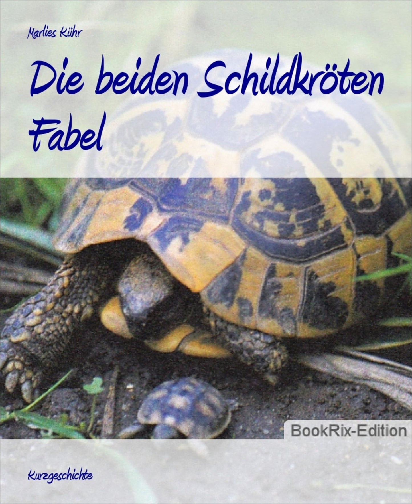 Die beiden Schildkröten: Fabel