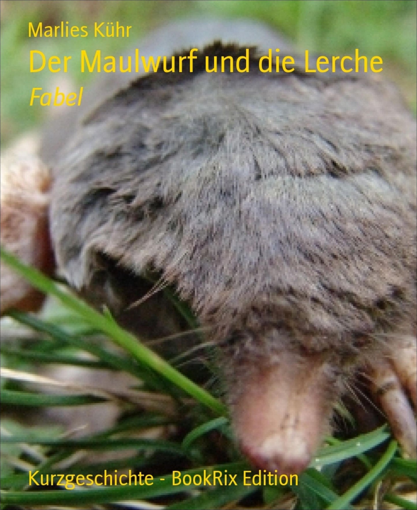 Der Maulwurf und die Lerche: Fabel