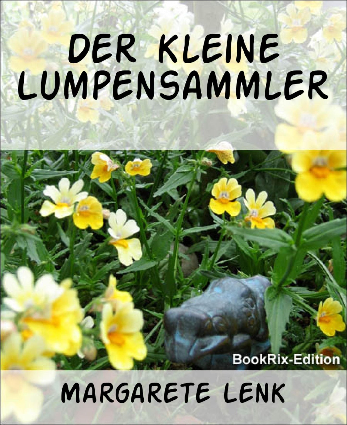 Der kleine Lumpensammler: Erzählung