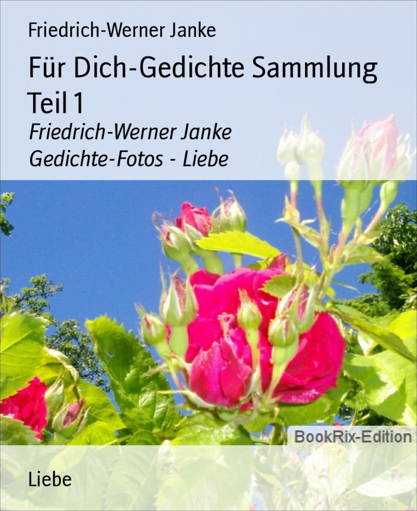 Für Dich-Gedichte Sammlung Teil 1: Friedrich-Werner Janke Gedichte-Fotos - Liebe