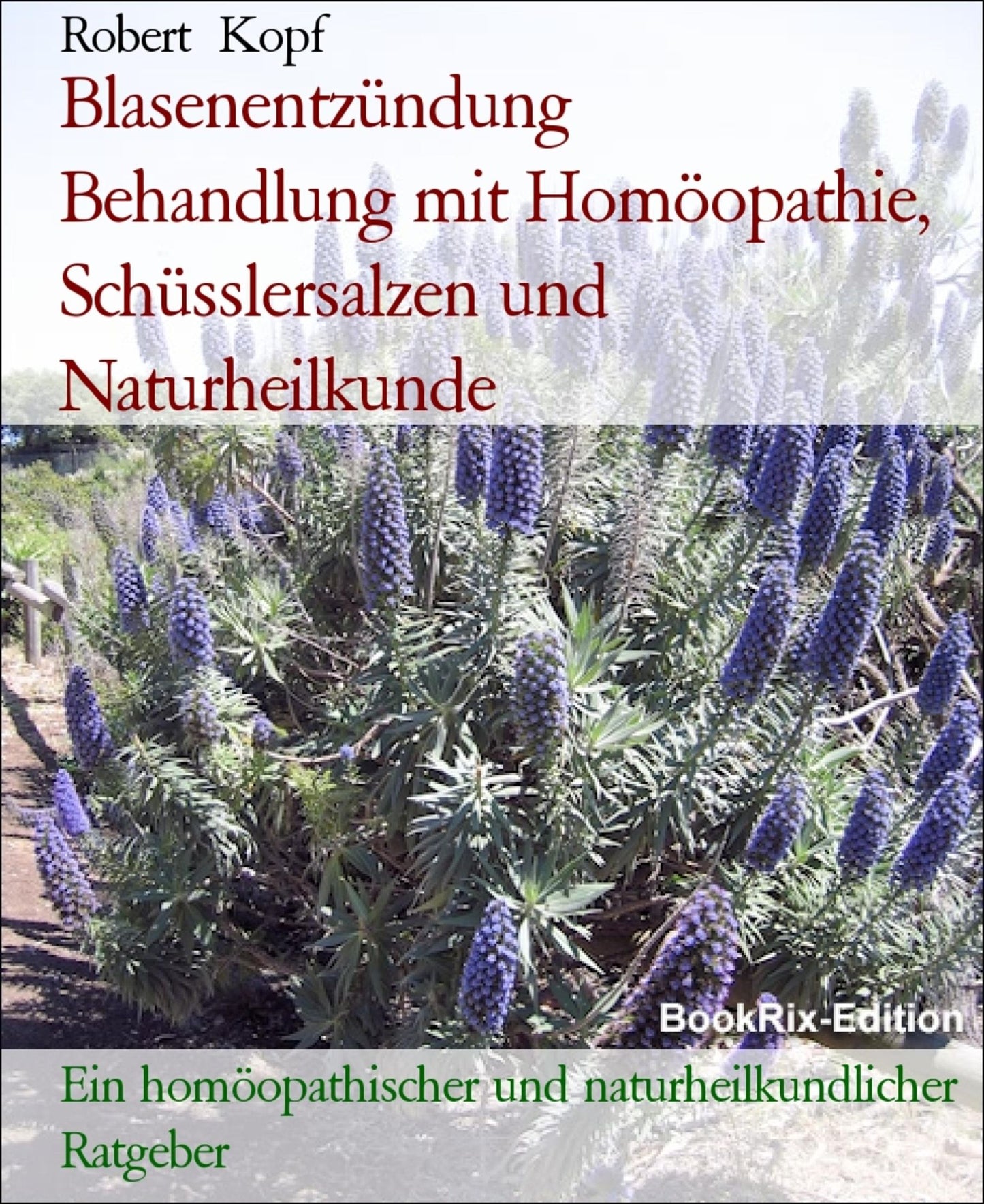 Blasenentzündung, Zystitis - Cystitis behandeln mit Homöopathie, Schüsslersalzen (Biochemie) und Naturheilkunde: Ein homöopathischer, biochemischer und naturheilkundlicher Ratgeber