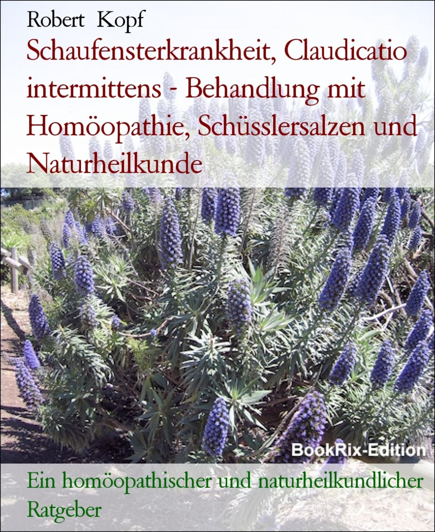 Schaufensterkrankheit, Claudicatio intermittens - Behandlung mit Homöopathie, Schüsslersalzen und Naturheilkunde: Ein homöopathischer, biochemischer und naturheilkundlicher Ratgeber