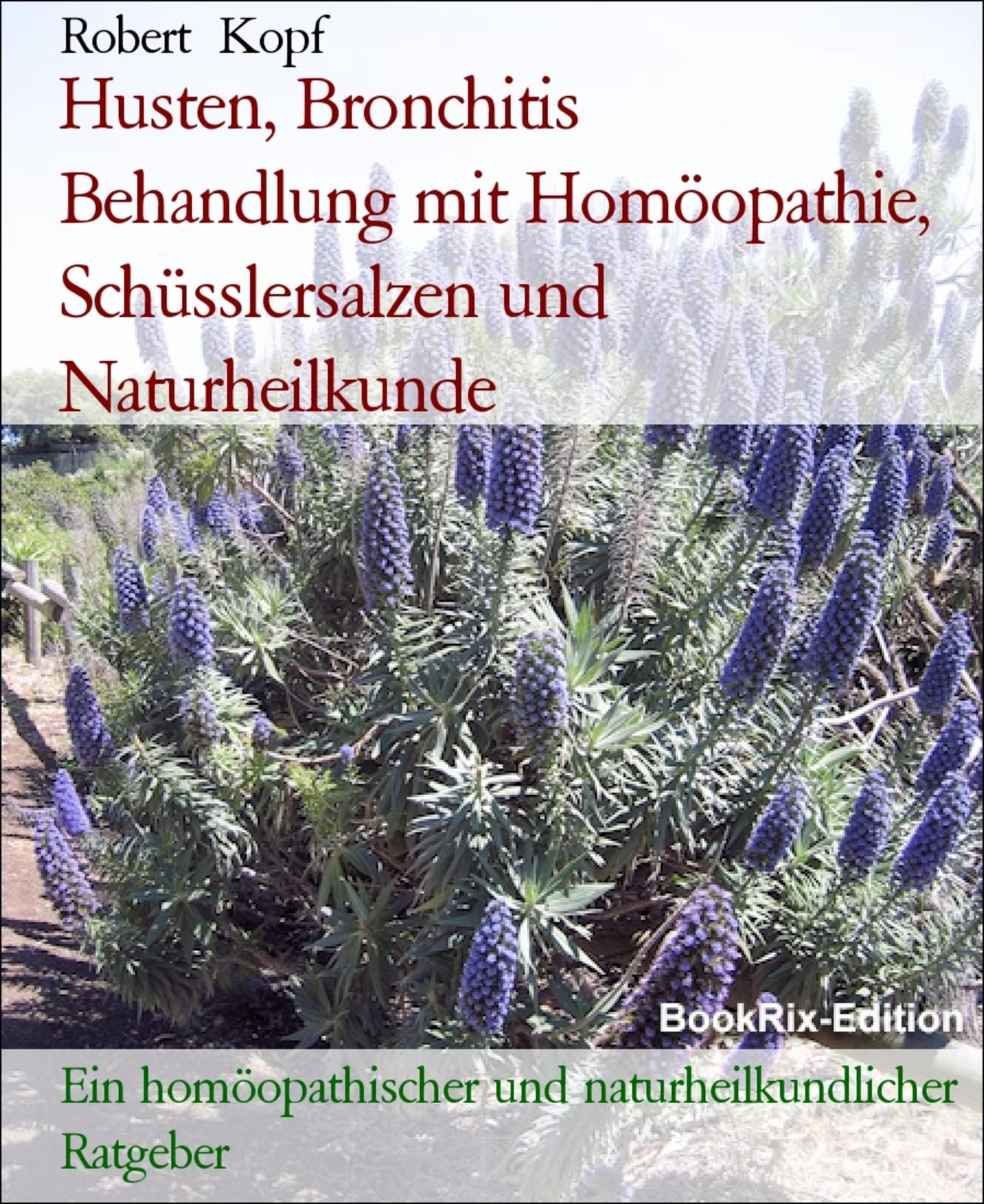 Husten, Bronchitis - Behandlung mit Homöopathie, Schüsslersalzen (Biochemie) und Naturheilkunde: Ein homöopathischer, biochemischer und naturheilkundlicher Ratgeber