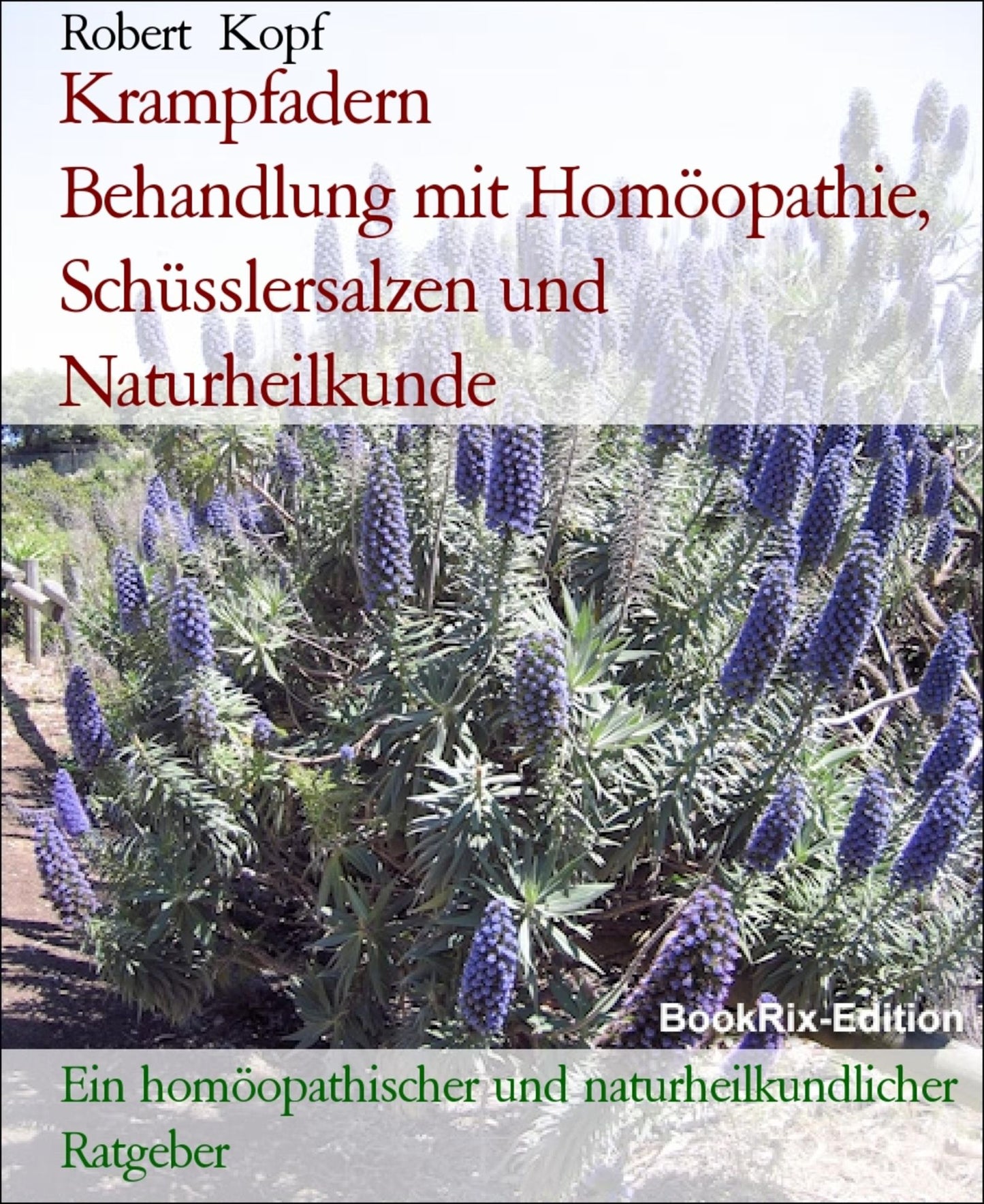 Krampfadern, Varizen - Varikosis behandeln mit Homöopathie, Schüsslersalzen (Biochemie) und Naturheilkunde: Ein homöopathischer, biochemischer und naturheilkundlicher Ratgeber