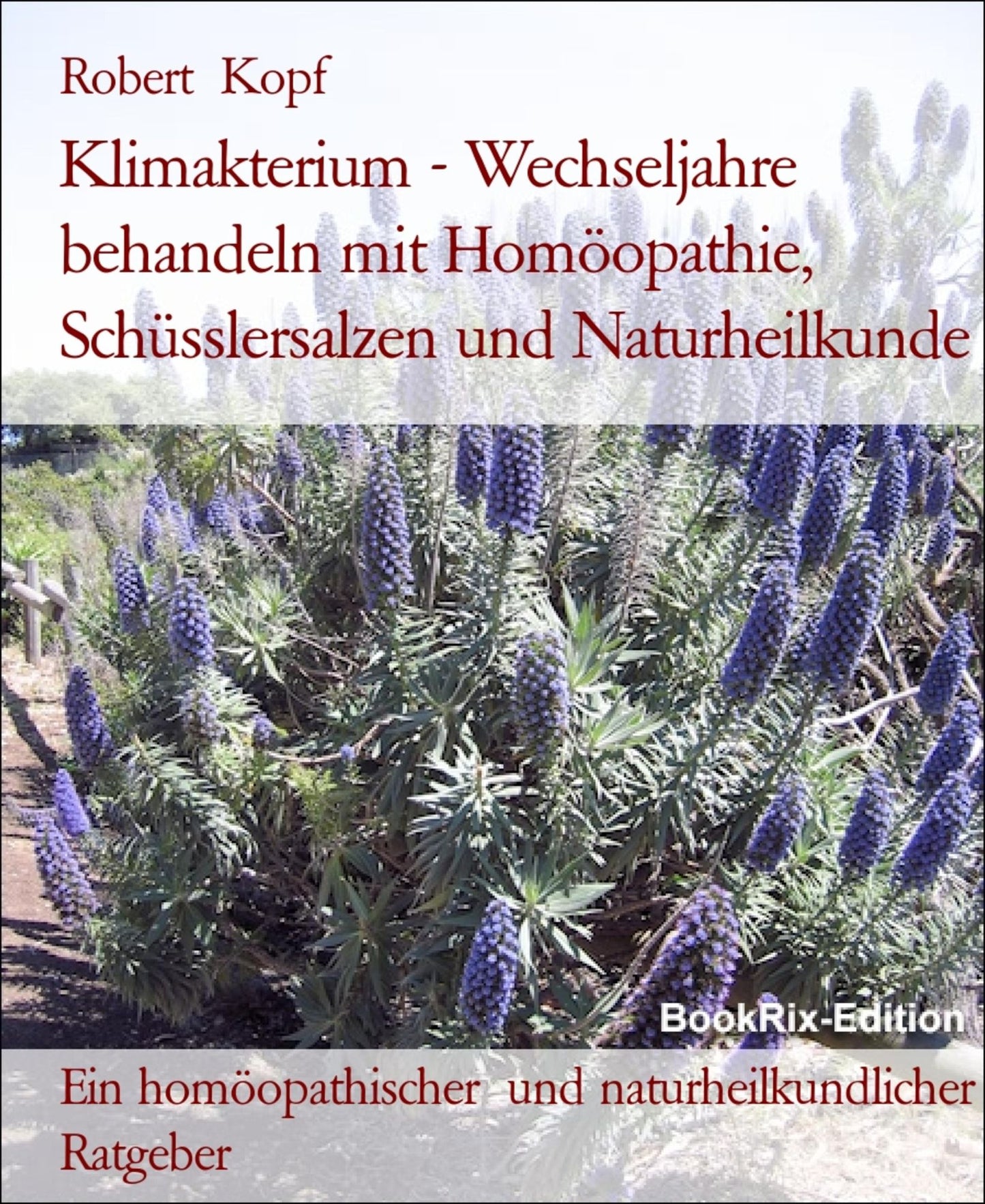 Klimakterium, Menopause Wechseljahresbeschwerden behandeln mit Homöopathie, Schüsslersalzen und Naturheilkunde: Ein homöopathischer, biochemischer und naturheilkundlicher Ratgeber