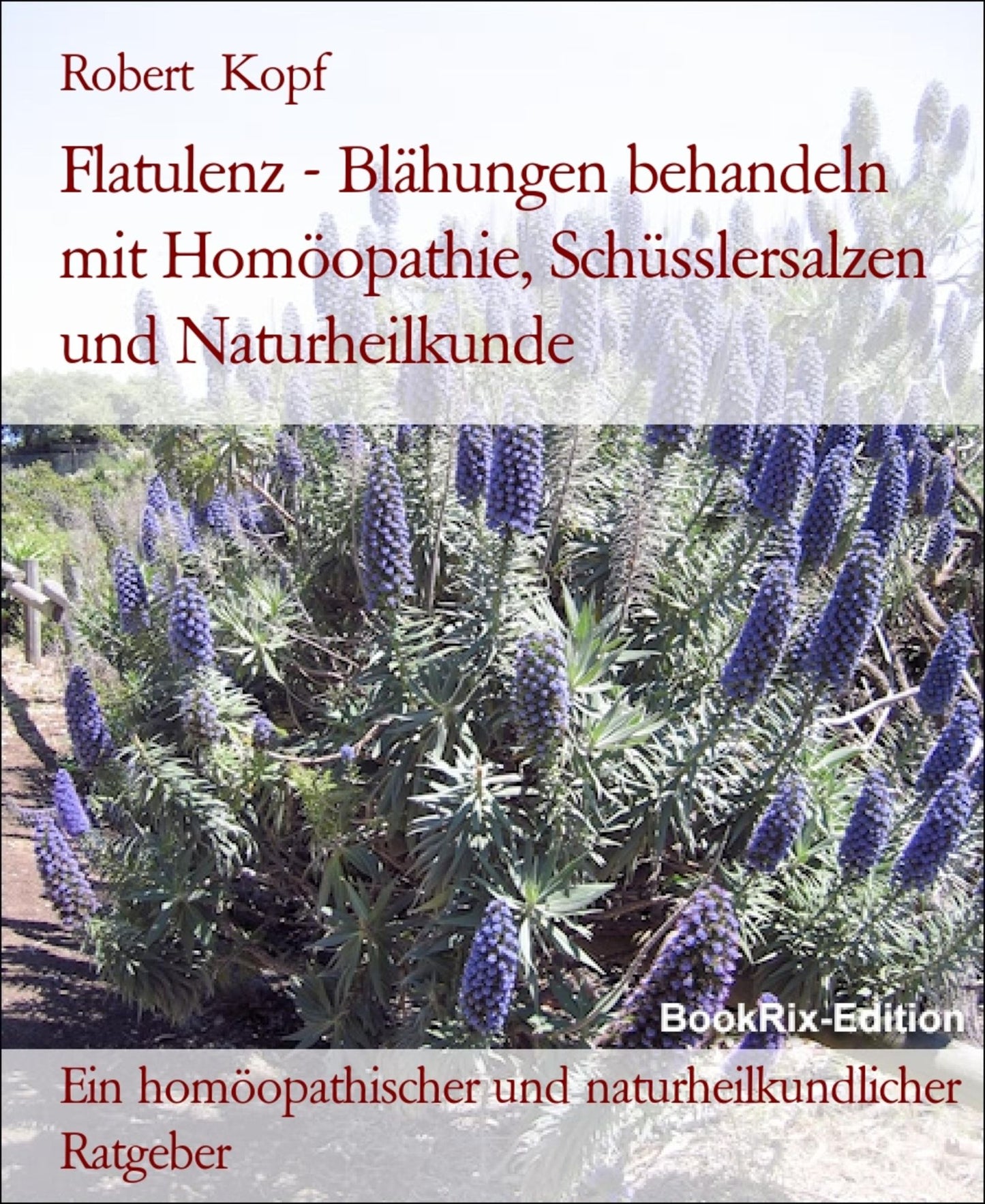 Flatulenz, Blähungen, Meteorismus Behandlung mit Homöopathie, Schüsslersalzen (Biochemie) und Naturheilkunde: Ein homöopathischer, biochemischer und naturheilkundlicher Ratgeber