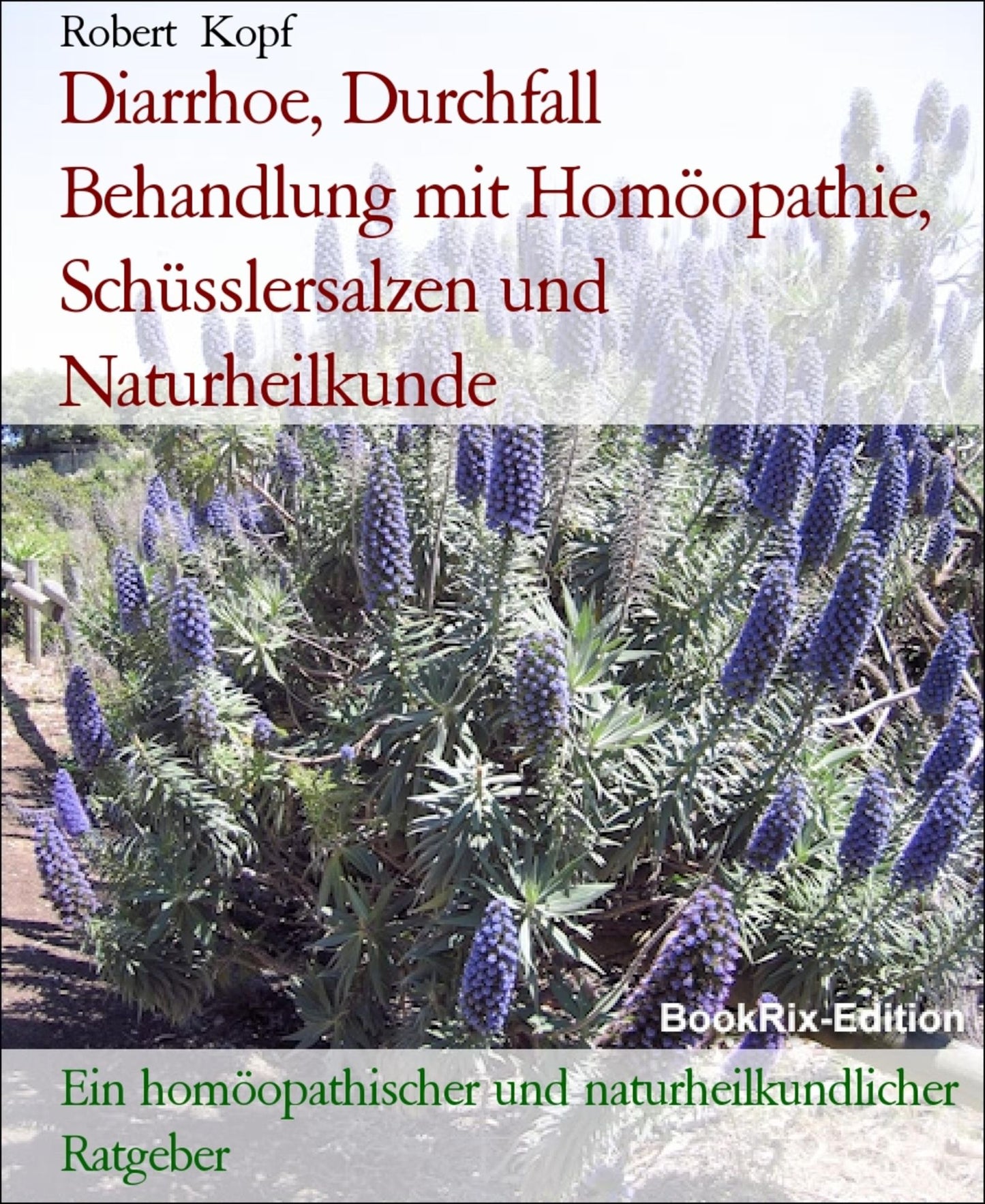 Diarrhoe, Durchfall - Behandlung mit Homöopathie, Schüsslersalzen (Biochemie) und Naturheilkunde: Ein homöopathischer, biochemischer und naturheilkundlicher Ratgeber