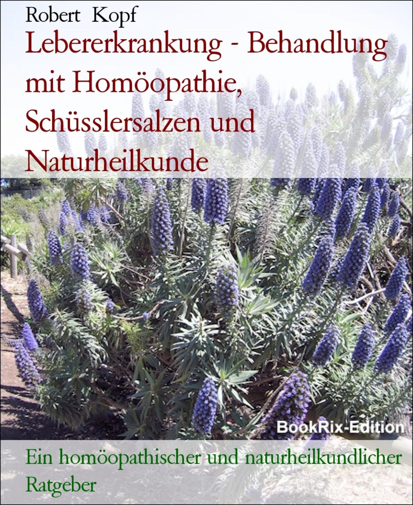 Lebererkrankung, Hepatopathie - Behandlung mit Homöopathie, Schüsslersalzen (Biochemie) und Naturheilkunde: Ein homöopathischer, biochemischer und naturheilkundlicher Ratgeber