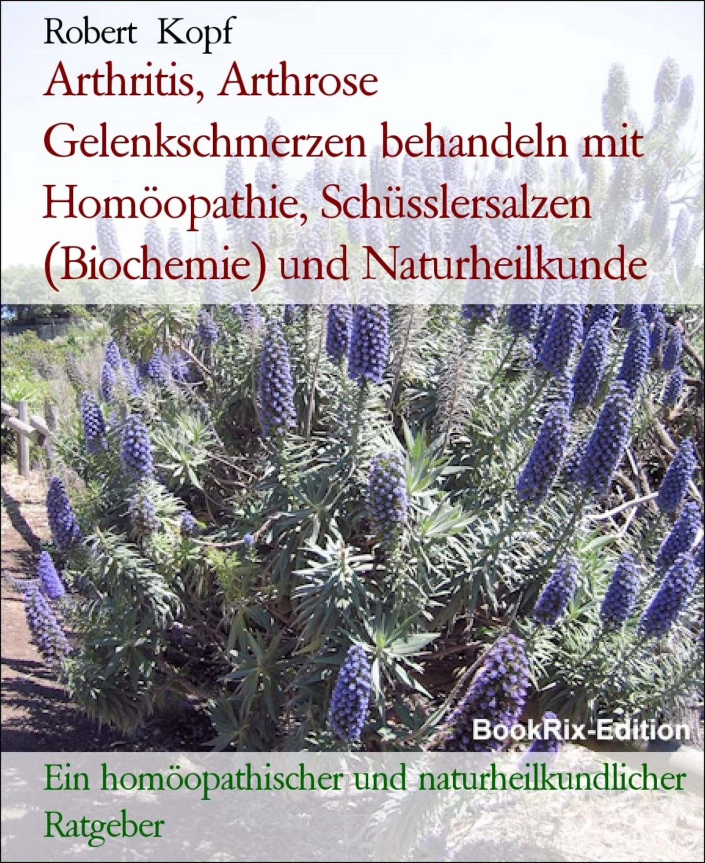 Arthritis, Arthrose Gelenkschmerzen behandeln mit Homöopathie, Schüsslersalzen (Biochemie) und Naturheilkunde: Ein homöopathischer, biochemischer und naturheilkundlicher Ratgeber