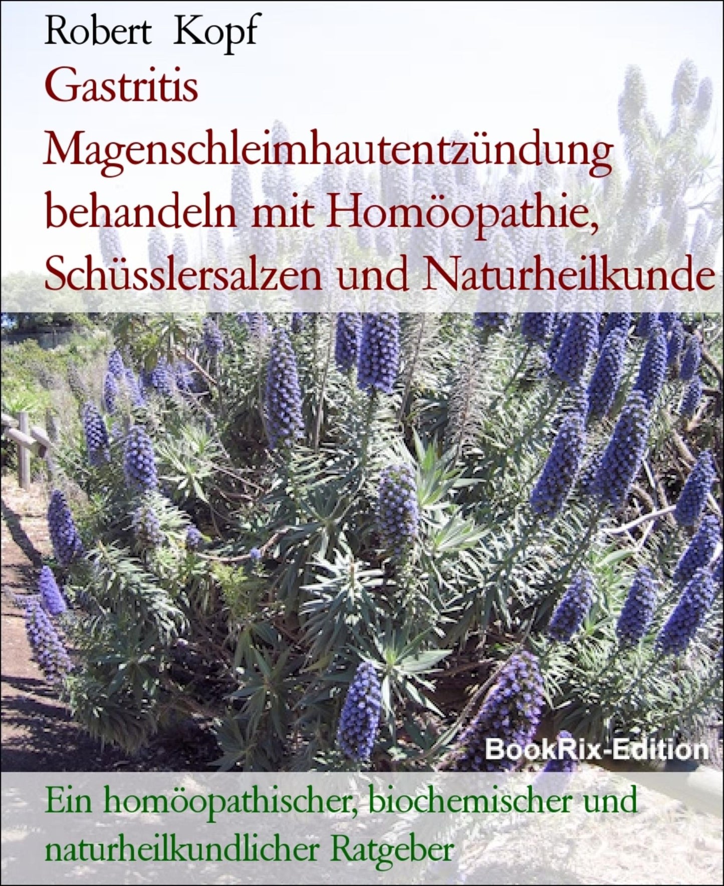 Gastritis, Magenschleimhautentzündung, Magenschmerzen - Behandlung mit Homöopathie, Schüsslersalzen und Naturheilkunde: Ein homöopathischer, biochemischer und naturheilkundlicher Ratgeber